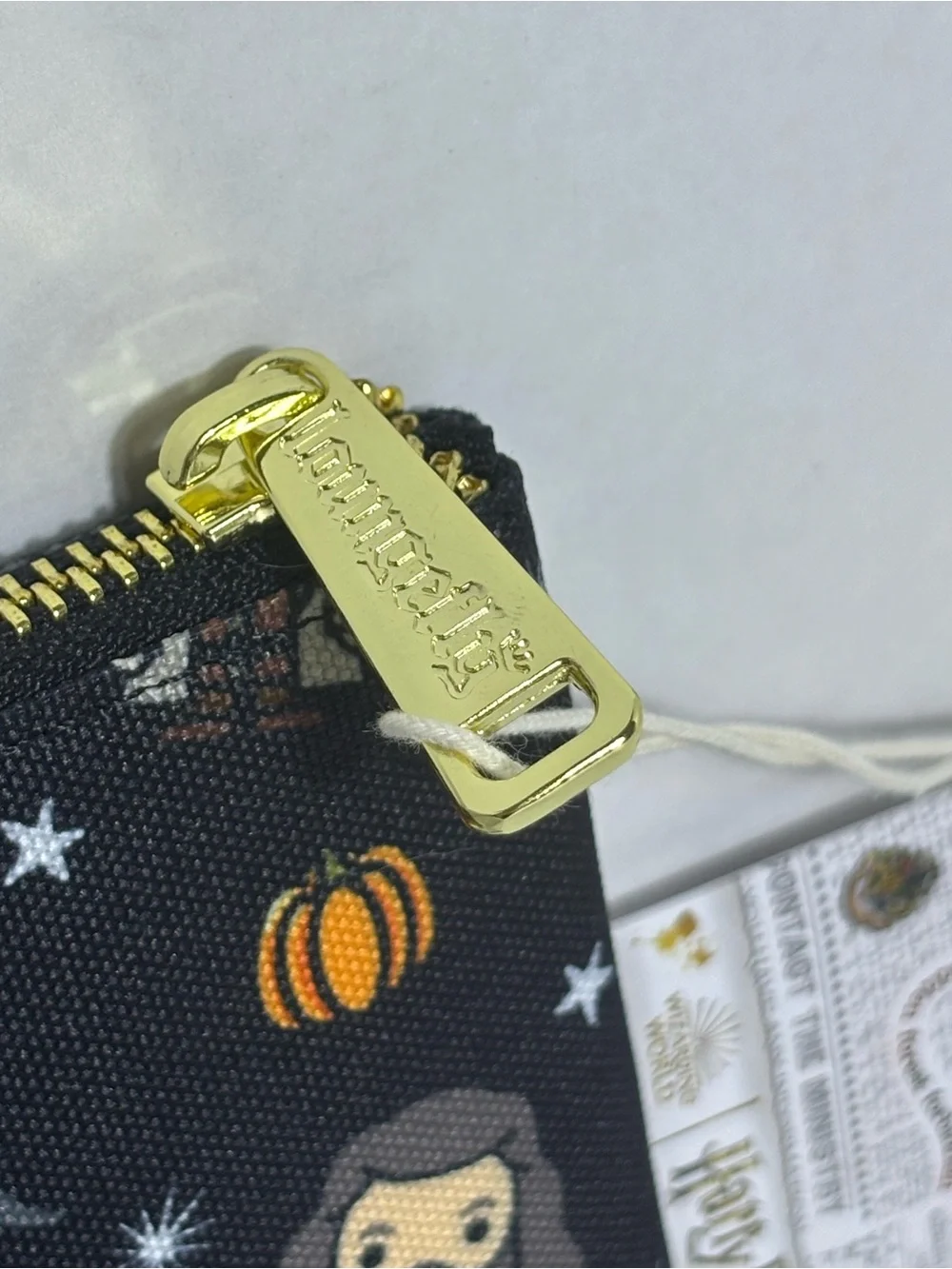 Loungefly Harry Potter Hagrid & Buckbeak Pumpkin Zipper Pouch